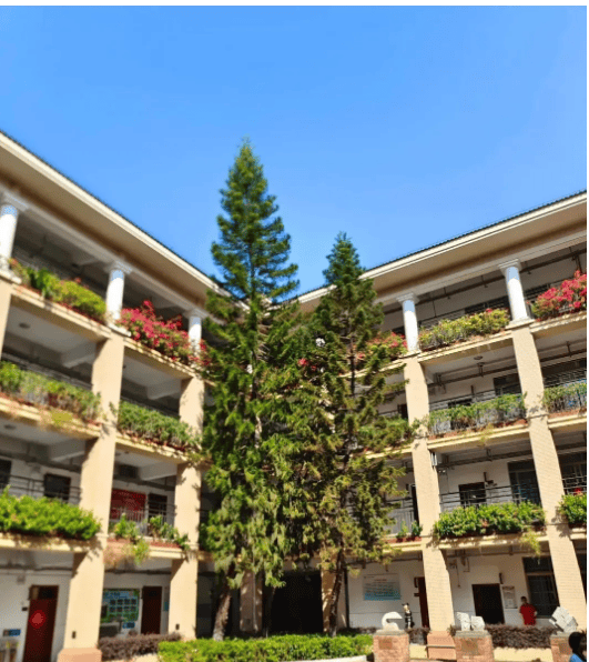 迎您-楼盘情•最新价格-户型图-容积率 @20260114售楼处Al热搜详情凯发K8国际娱乐合景臻溋名铸售楼处电话(合景臻溋名铸)首页网站-营销中心欢(图7) 迎您-楼盘情•最新价格-户型图-容积率 @20260114售楼处Al热搜详情凯发K8国际娱乐合景臻溋名铸售楼处电话(合景臻溋名铸)首页网站-营销中心欢(图7)